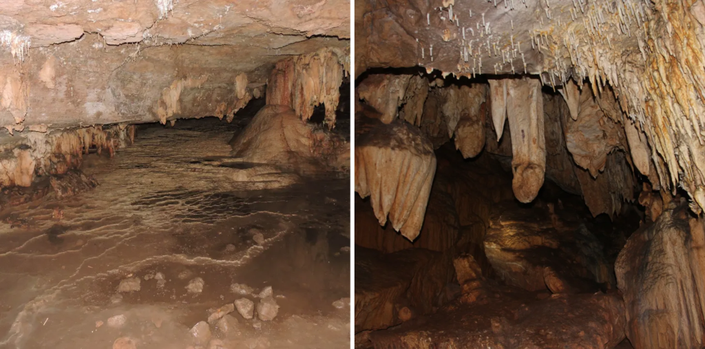 caverna do jabuti mato grosso