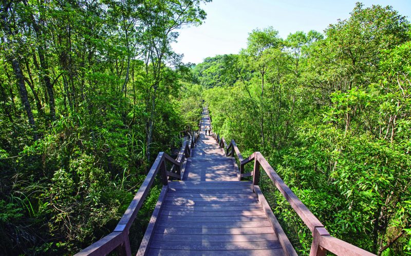 parque imigrantes são paulo