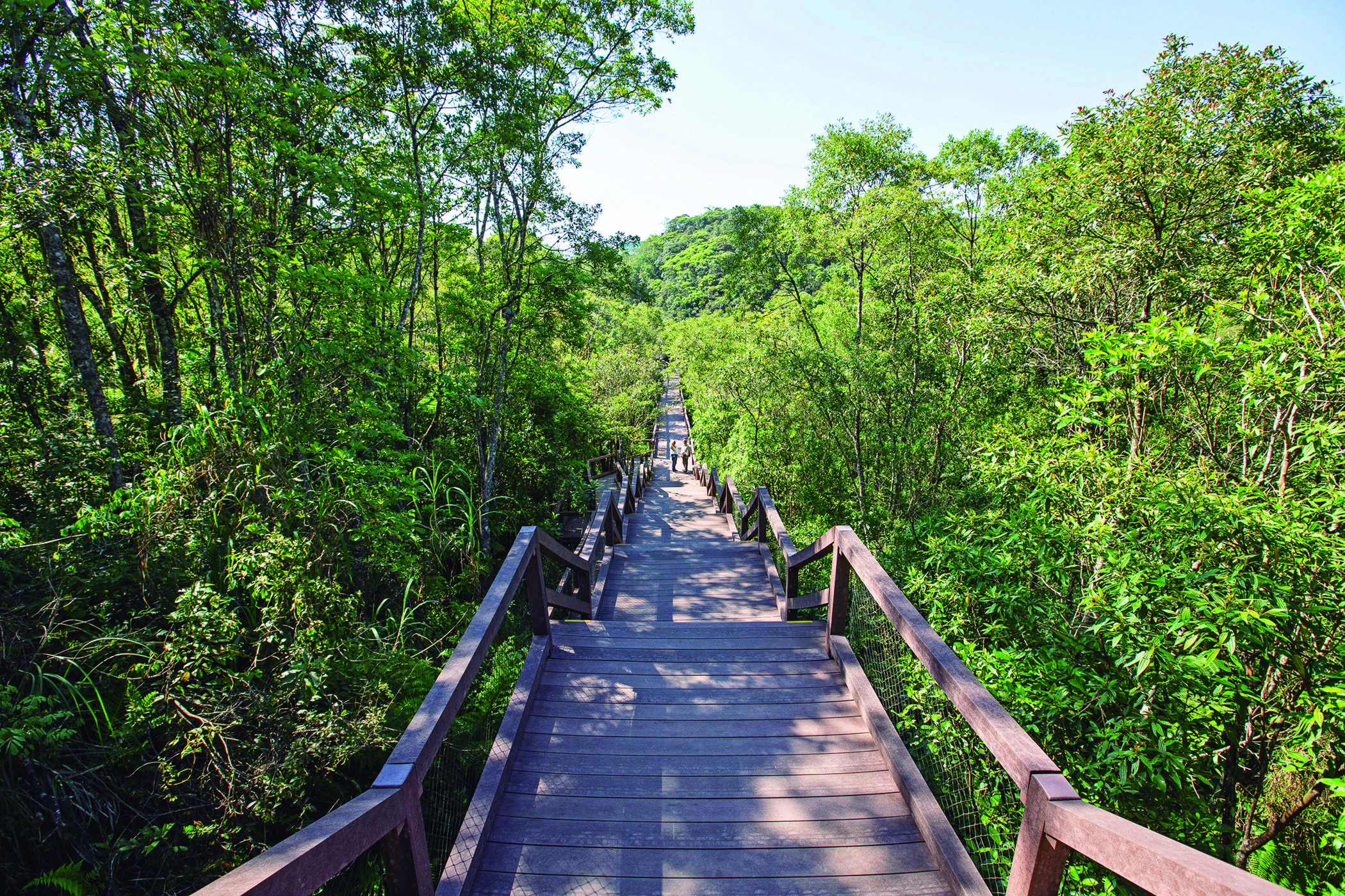 parque imigrantes são paulo