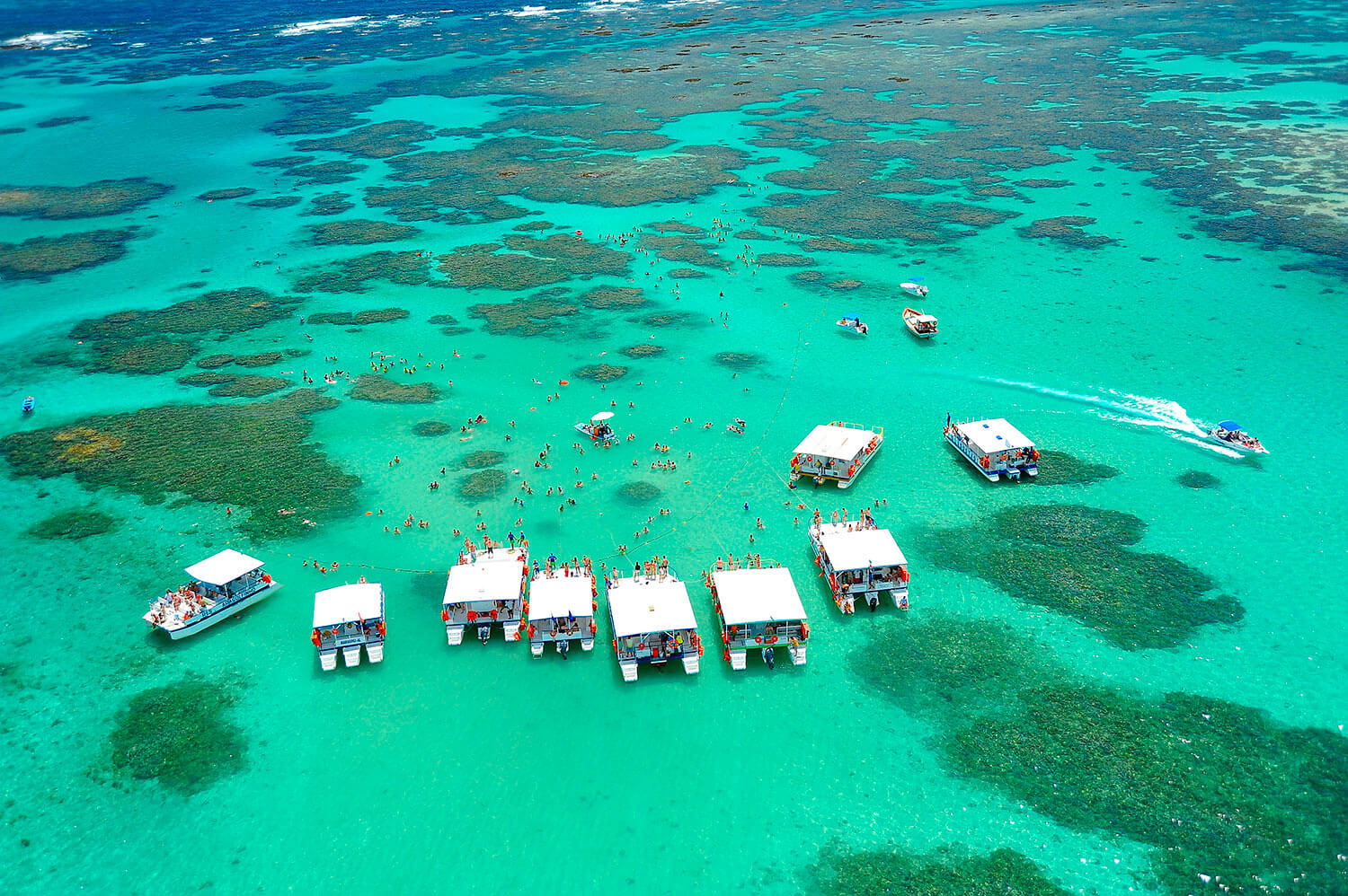 Como chegar em Maragogi saindo de Maceió e Recife