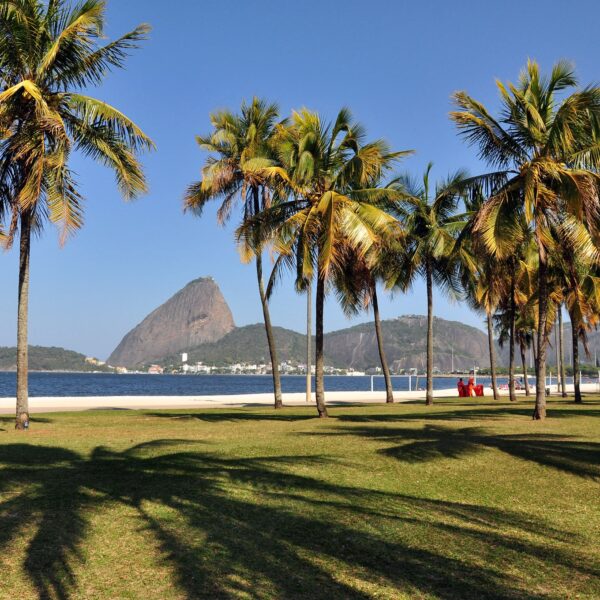 Praia do Flamengo bate recorde de balneabilidade e é liberada para banho