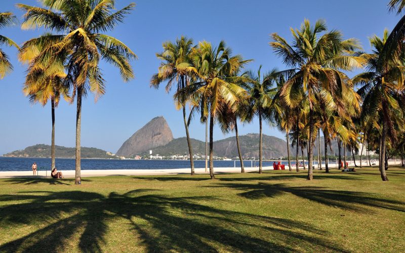 Praia do Flamengo liberada para banho