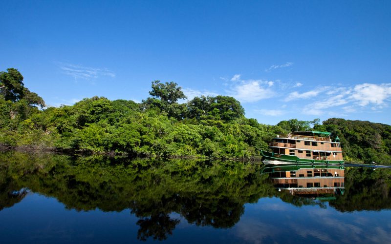 dia da amazônia