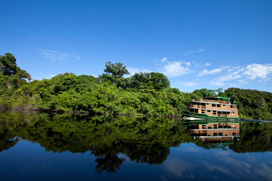 dia da amazônia