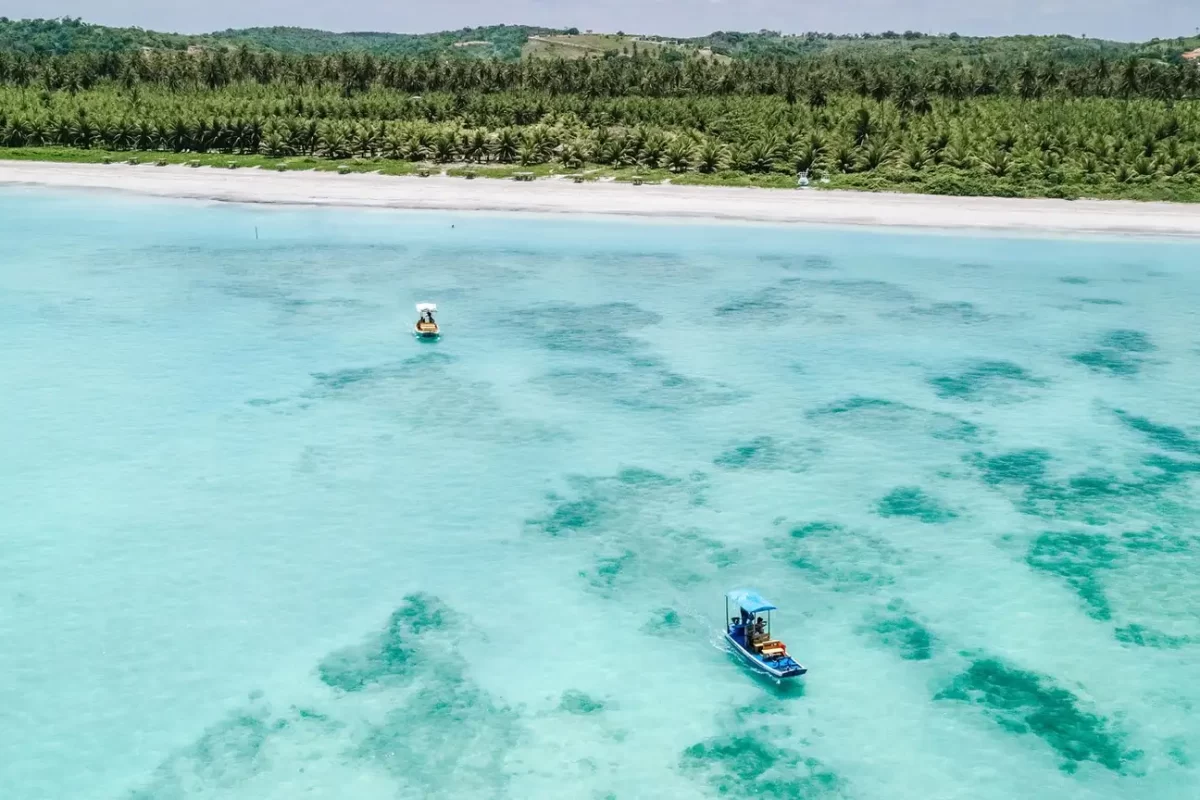 Hotéis para passar o Réveillon 2024 em São Miguel dos Milagres