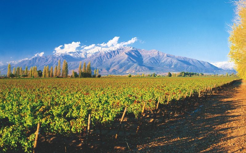 vinícola Concha y toro passeios em Santiago