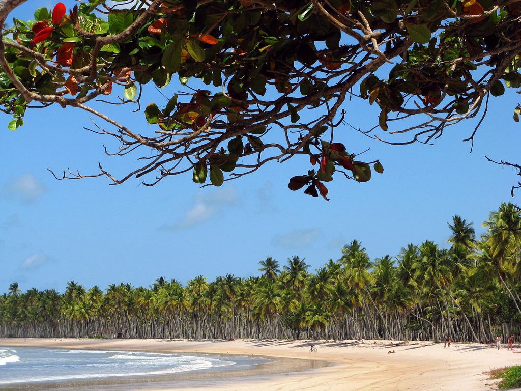 Praia da Cueira, em Boipeba, Bahia