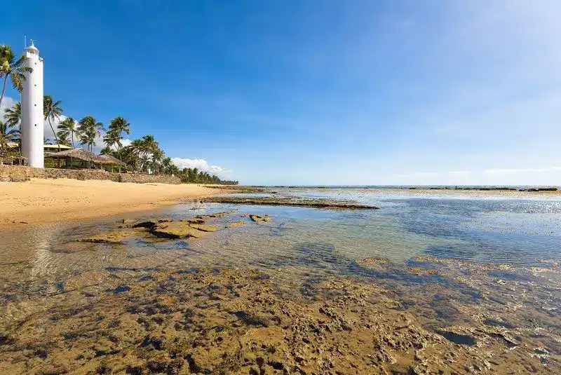 Praia do Forte - Bahia - Veja 15 praias paradisíacas no litoral da Bahia