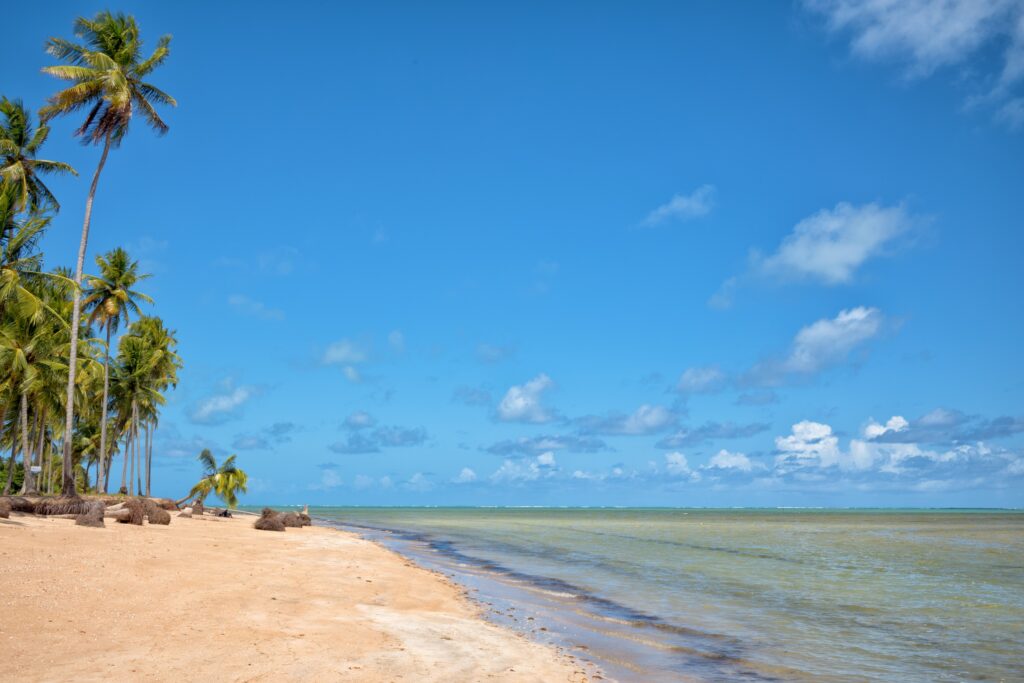 Praias mais lindas de Alagoas. Praia de Jages. 