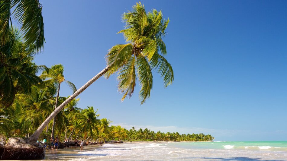 Praias paradisíacas de Alagoas. 