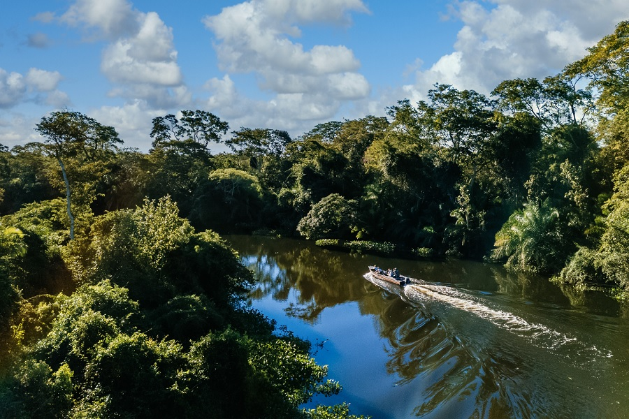 Descubra os encantos do Amazonas: lugares para ir
