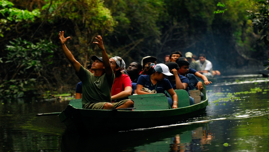 Dicas de viagem: lugares e passeios no Amazonas
