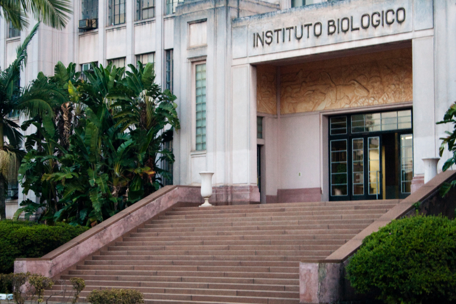 Instituto Biológico de São Paulo - passeios fora do óbvio para fazer em São Paulo