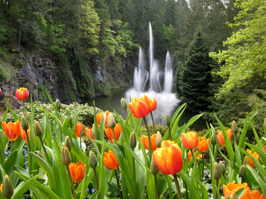 Butchart Gardens, em Brentwood Bay