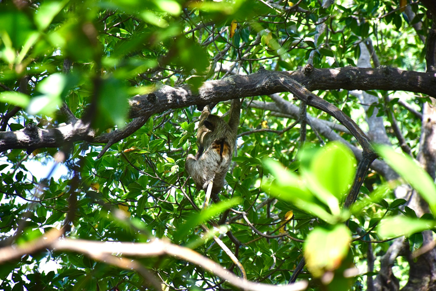 Passeios no Panamá