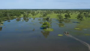Viagem ao Pantanal