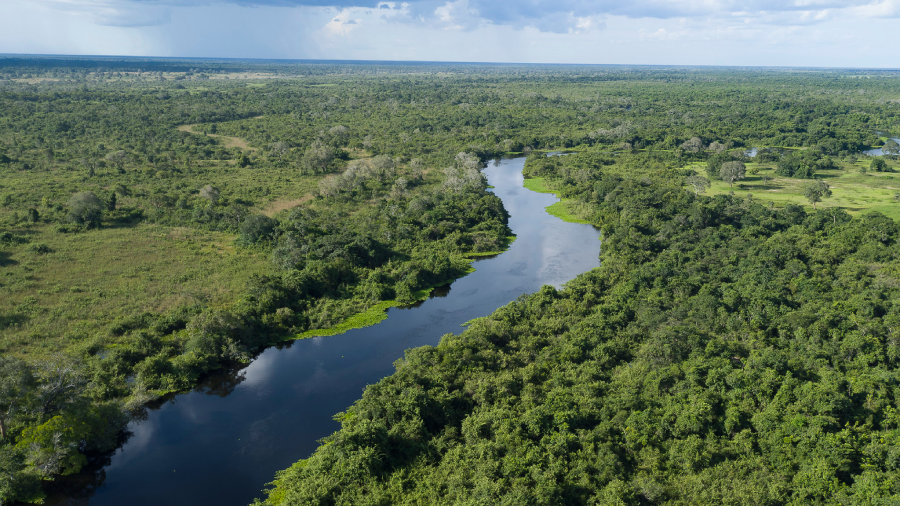 Rios do Pantanal, perfeitos para passeios de barco