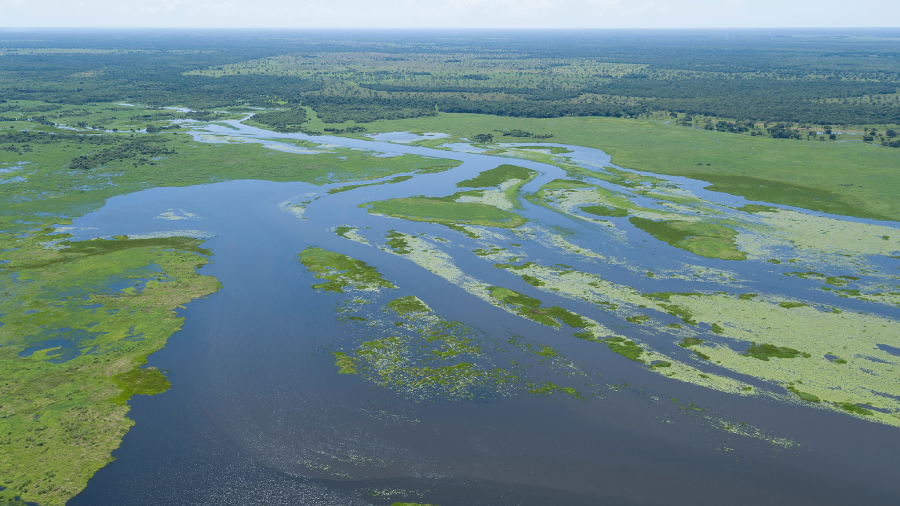 Passeio pelo Pantanal alagado