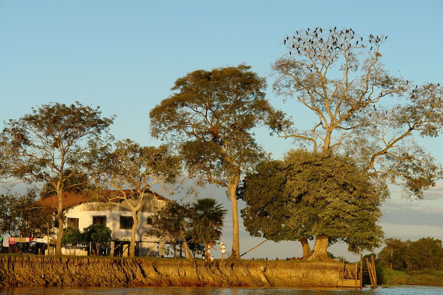 Lugares para ir no Pantanal: Miranda