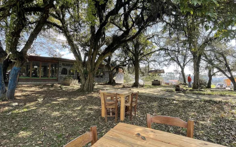 Cafés coloniais no Caminho do Vinho