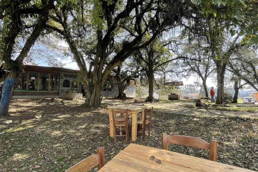 Cafés coloniais no Caminho do Vinho