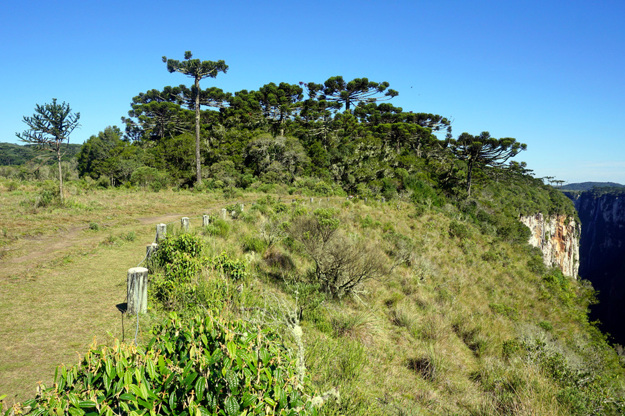 Parque Nacional Aparados da Serra - Rio Grande do Sul