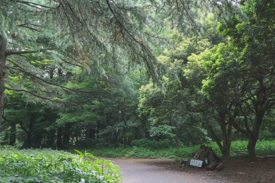 Parque Nacional Shinjuku Gyoen