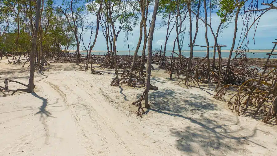 Passeios em Jericoacoara