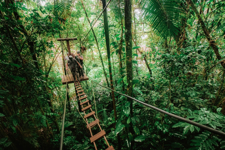 Dicas de ecoturismo