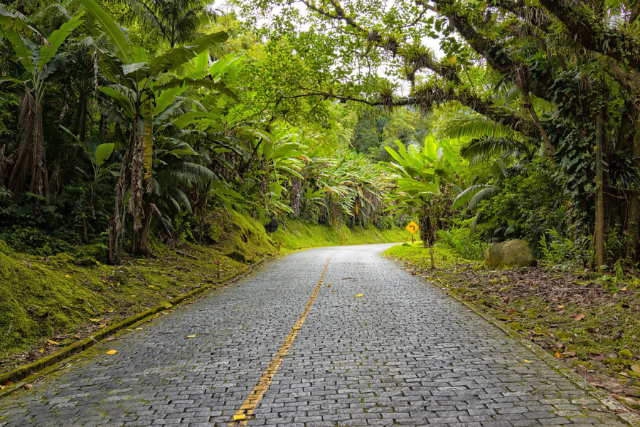 Estrada da Graciosa