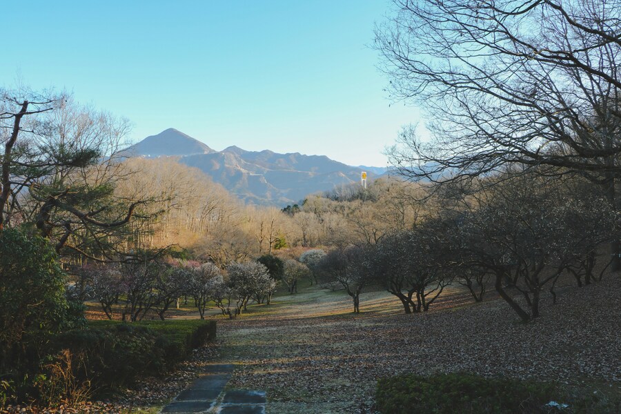 Parque Nacional Chichibu-Tama-Kai