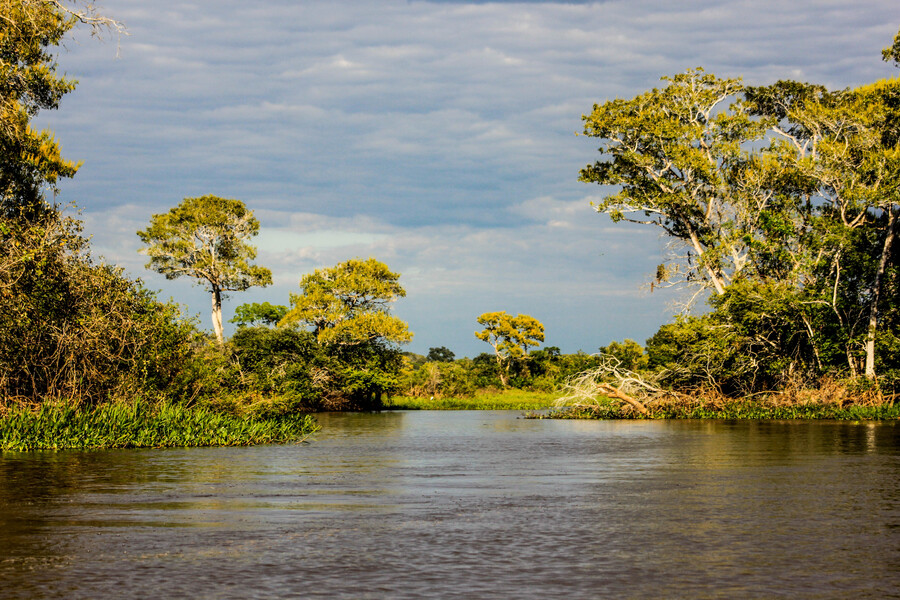 Parque Nacional do Pantanal Matogrossense - Mato Grosso