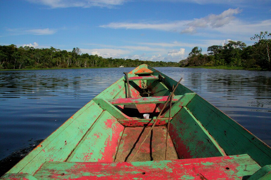 País com a maior biodiversidade: viaje pelos biomas do Brasil