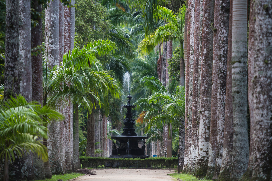 Jardim Botânico