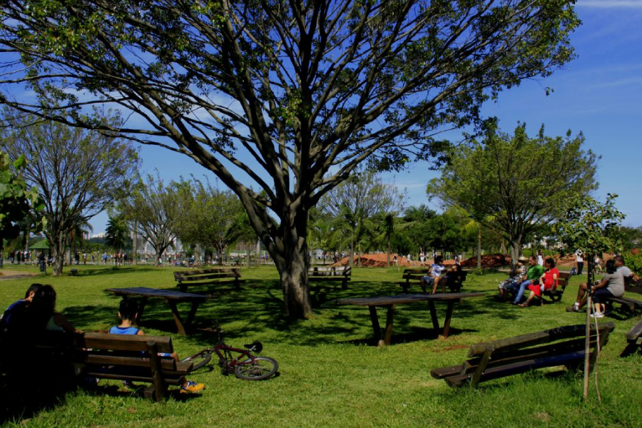 Dicas de lugares ao ar livre em SP