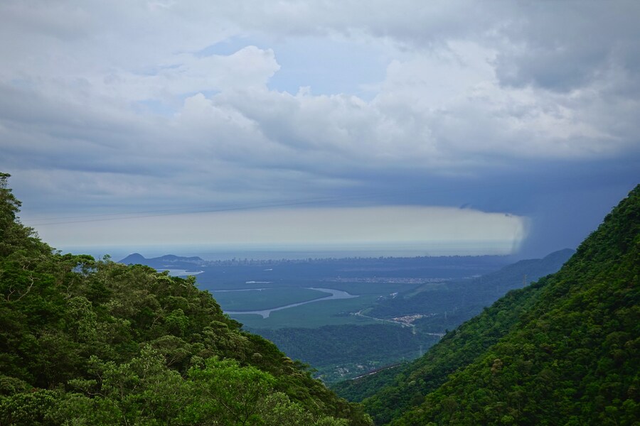 Biodiversidade brasileira - Serra do Mar - São Paulo