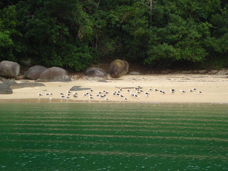 Praias em Paraty