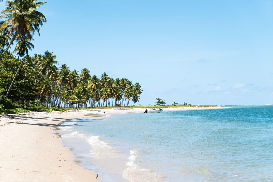 Praia dos Carneiros - Brasil