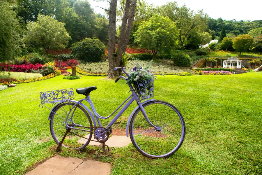 Le Jardin Parque das Lavandas