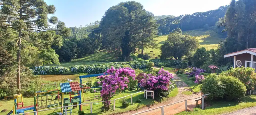 Lugares no Brasil: Monte Verde