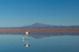 Roteiro de viagens pronto para visitar o Chile, Bolívia e Peru