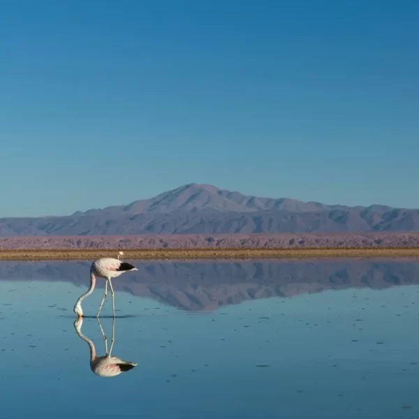 Roteiro de viagens pronto para visitar o Chile, Bolívia e Peru