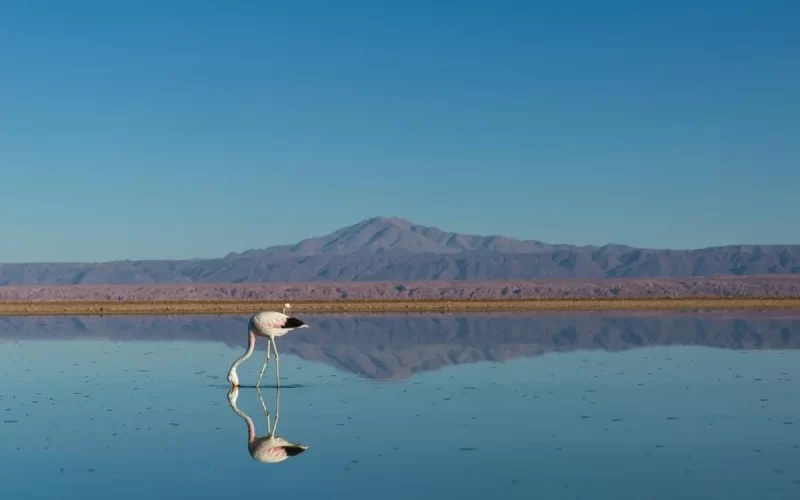 Roteiro de viagens pronto para visitar o Chile, Bolívia e Peru