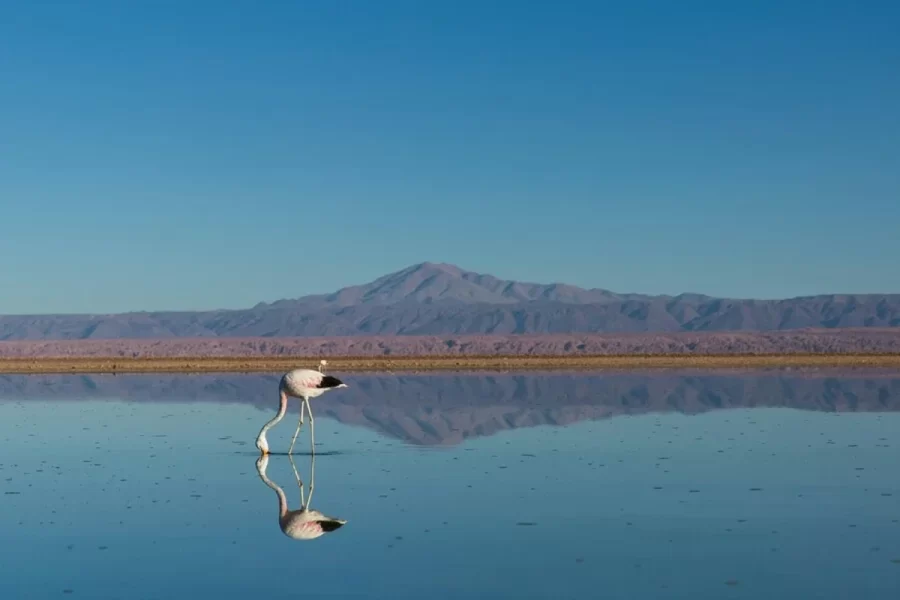 Roteiro de viagens pronto para visitar o Chile, Bolívia e Peru