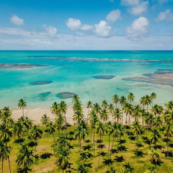 Melhores lugares para viajar em Alagoas (com fotos)