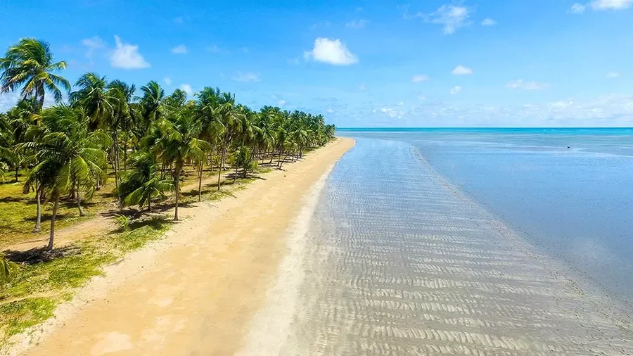 Melhores lugares para viajar em Alagoas (com fotos)