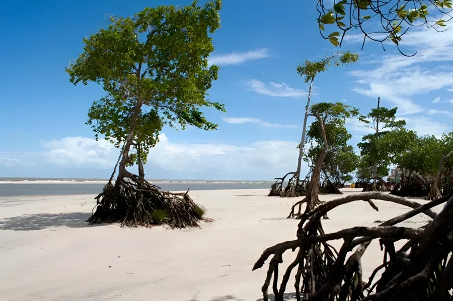 7 viagens imperdíveis para fazer gastando pouco