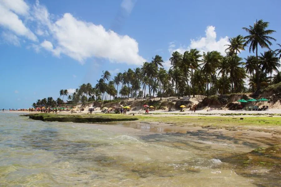 Melhores lugares para viajar em Alagoas (com fotos)