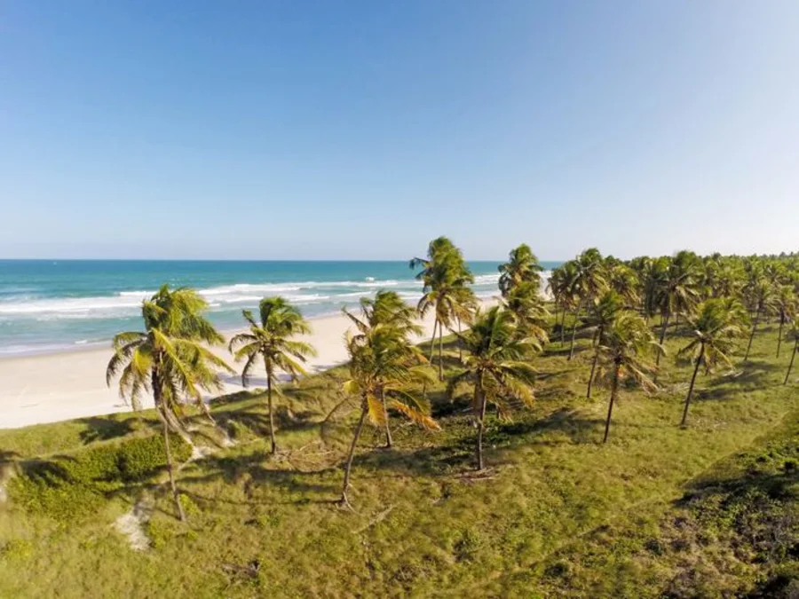 Praia do Francês