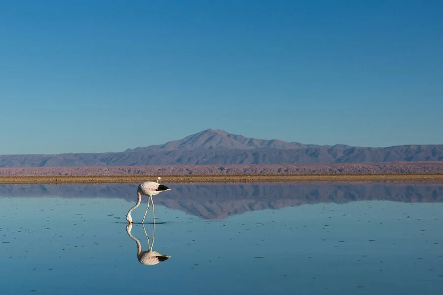 San Pedro de Atacama, Chile